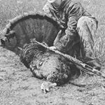 Profile Picture of Collin Cummings (@cummings_collin) on Instagram