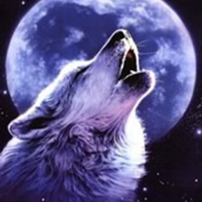 Profile Picture of Emerson Palacios (@Logan_Palacios0) on Twitter