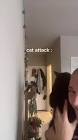 Profile Picture of   hailey.ables... (@hailey.ables) on Tiktok