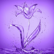 Profile Picture of Abu Munir Haddad (@باشاعيسىحسن) on Youtube