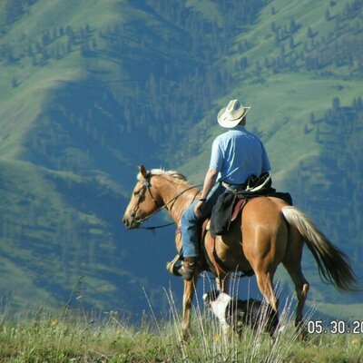 Profile Picture of Tom Gehring (@AgriTgehring) on Twitter
