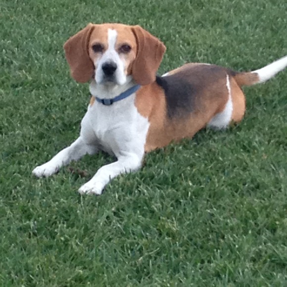 Profile Picture of Maria Tostado (@julien00) on Poshmark