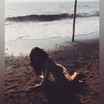 Profile Picture of DR.SUMAN CHOUDHARY🔥🦋 (@suman_choudhary.14) on Instagram