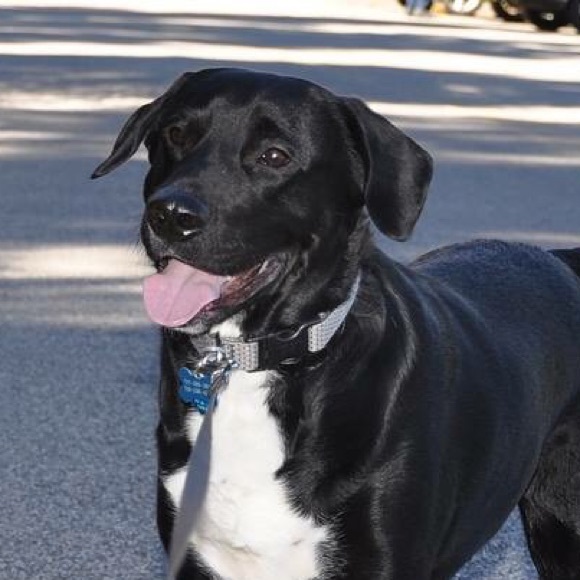 Profile Picture of Kyle Spillane (@kspill05) on Poshmark