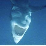 Profile Picture of Joseph Babb (@babb.joseph) on Instagram
