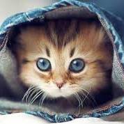 Paula Pietrariu - Facebook Profile Picture of Paula Pietrariu (@paula.pietrariu.5) on Facebook