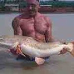 Profile Picture of Andy Cartwright (@andylp560) on Instagram