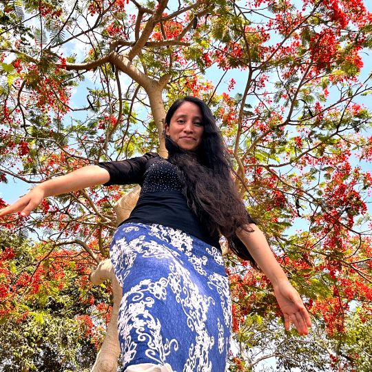 Profile Picture of Kathy Pereda💛📚🌻 (@kathysharolka) on Tiktok