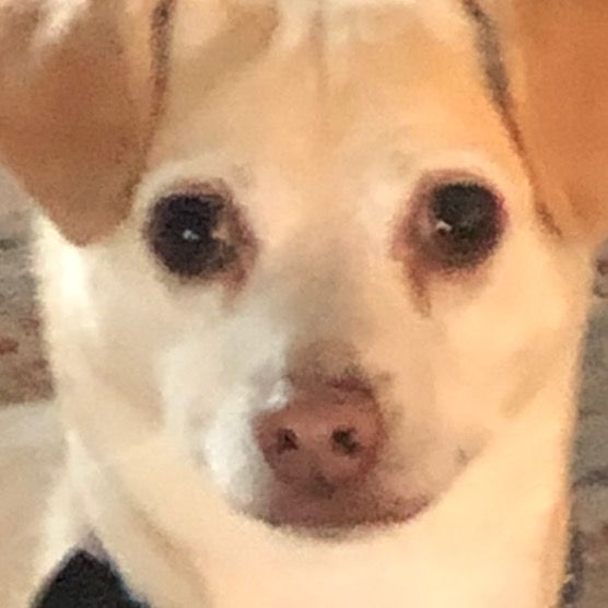 Grady? - Tiktok Profile Picture of Grady? (@grady.bell7) on Tiktok