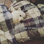 Profile Picture of LovelyTeddyBear (@rose_irvine_27) on Instagram