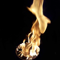 Profile Picture of Alexander Lama (@alexander-lama-1) on Quora