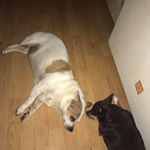 Profile Picture of Vickey Roberts (@vickey.roberts.56) on Instagram