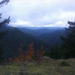 Profile Picture of Daniel Brabham (@daniel176072) on Instagram