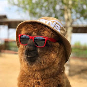 Lippi - Youtube Profile Picture of Lippi (@Lippi-fd9wt) on Youtube