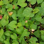 Profile Picture of Jayde Carnegie ✏️ (@jayde.carnegie.creative) on Instagram