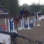 Profile Picture of James FlahertyCloonturkStables (@jamesflaherty_cloonturkstables) on Instagram