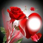 Profile Picture of Michael Jankovic (@jankovic.michael) on Instagram