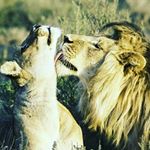 Profile Picture of kevin kevin (@nawikalil95) on Instagram