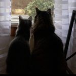 Profile Picture of Byron And Percy (@bysshe_and_byron) on Instagram