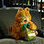 Profile Picture of Paul Glibin (@Mr.Kot) on Flickr