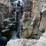 Profile Picture of ingrid schwarzmueller (@schwarzmingrid) on Instagram