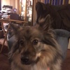 Profile Picture of Jaime Phillips Pfeiffer (@@jaimephillipspfei) on Tiktok