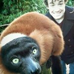 Profile Picture of Daniel Guth (@guthstagram) on Instagram