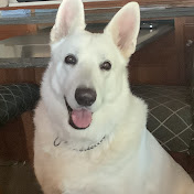 Profile Picture of Joseph Flaherty (@AAAfiresprinklers) on Youtube