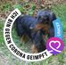 Profile Picture of Carola Hannemann (@Carola-Hannemann) on Facebook