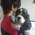 Profile Picture of kōta dohi (@jeff__beck) on Instagram