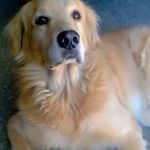 Profile Picture of Scott (@scott_barros) on Instagram