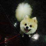 Profile Picture of Benjamin Koh (@benjiworld0706) on Instagram
