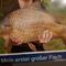 Profile Picture of Robin Kremer (@robin.kremer.965) on Facebook