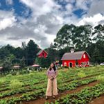 Profile Picture of Thet Oo HTet (@thetoohtet) on Instagram