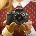 Profile Picture of #DILWALE#RUSH#DUSTY (@canon_eos_1300d_) on Instagram