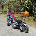 Profile Picture of maxjordan.m (@maxjordan.m) on Instagram