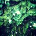 Profile Picture of Preston Joseph (@preston.joseph.587) on Facebook