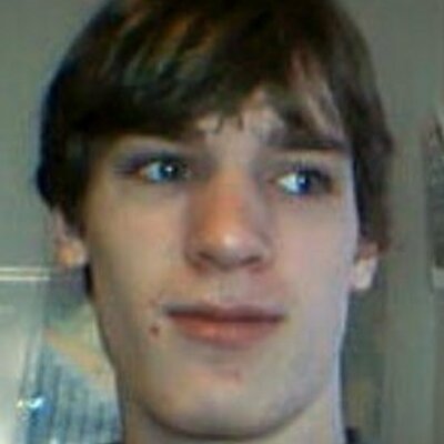 Profile Picture of Robin Wohlforth (@LapineCausality) on Twitter