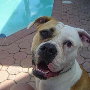 Profile Picture of Danny Manzano (@dannyboii1888) on Myspace