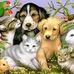 Profile Picture of Basil Lowe (@basil.lowe.79) on Facebook