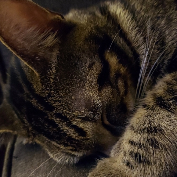 Jason Sotelo - Poshmark Profile Picture of Jason Sotelo (@jjtoast) on Poshmark