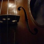 Profile Picture of MSR (@medha_sridhar_rao) on Instagram