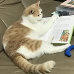 Hyewon Kwon - Facebook Profile Picture of Hyewon Kwon (@Hyewon-Kwon) on Facebook