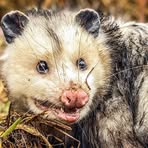 Profile Picture of Randolph Hodges (@randy.hodges.129) on Facebook