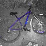 Profile Picture of Daniel Goldstone (@daniel_gs_15) on Instagram