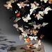 Profile Picture of Paula Manfredo (@manfredo0476) on Pinterest