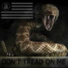Profile Picture of John Feathers18 (@@mc87xr7) on Tiktok