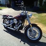 Profile Picture of Darrell Wagner (@wagsoil) on Instagram
