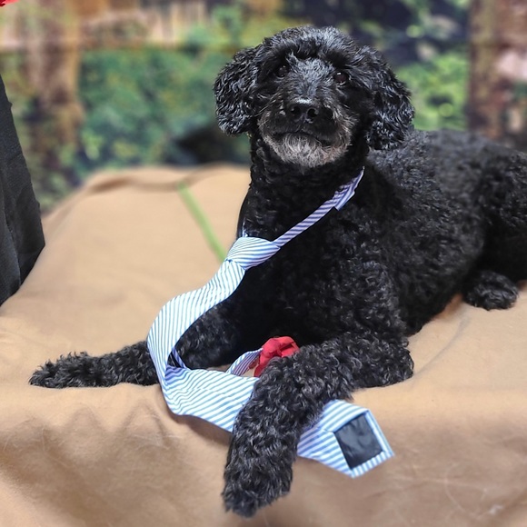 Profile Picture of Jenna Sallen (@jennadsallen) on Poshmark