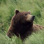 Profile Picture of Emilio Lujan Ferradás (@osoferradas) on Instagram